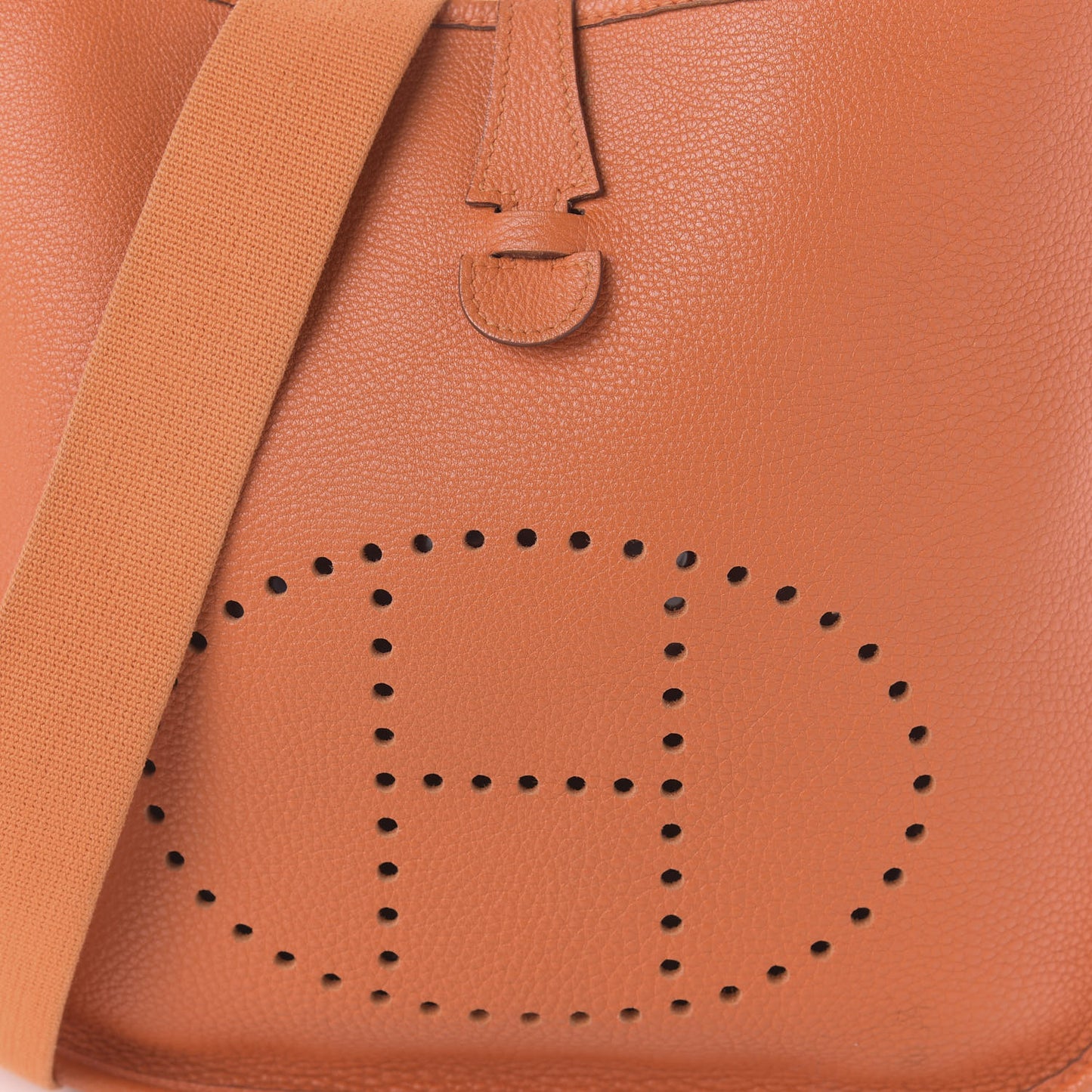 Taurillon Clemence Evelyne PM Orange