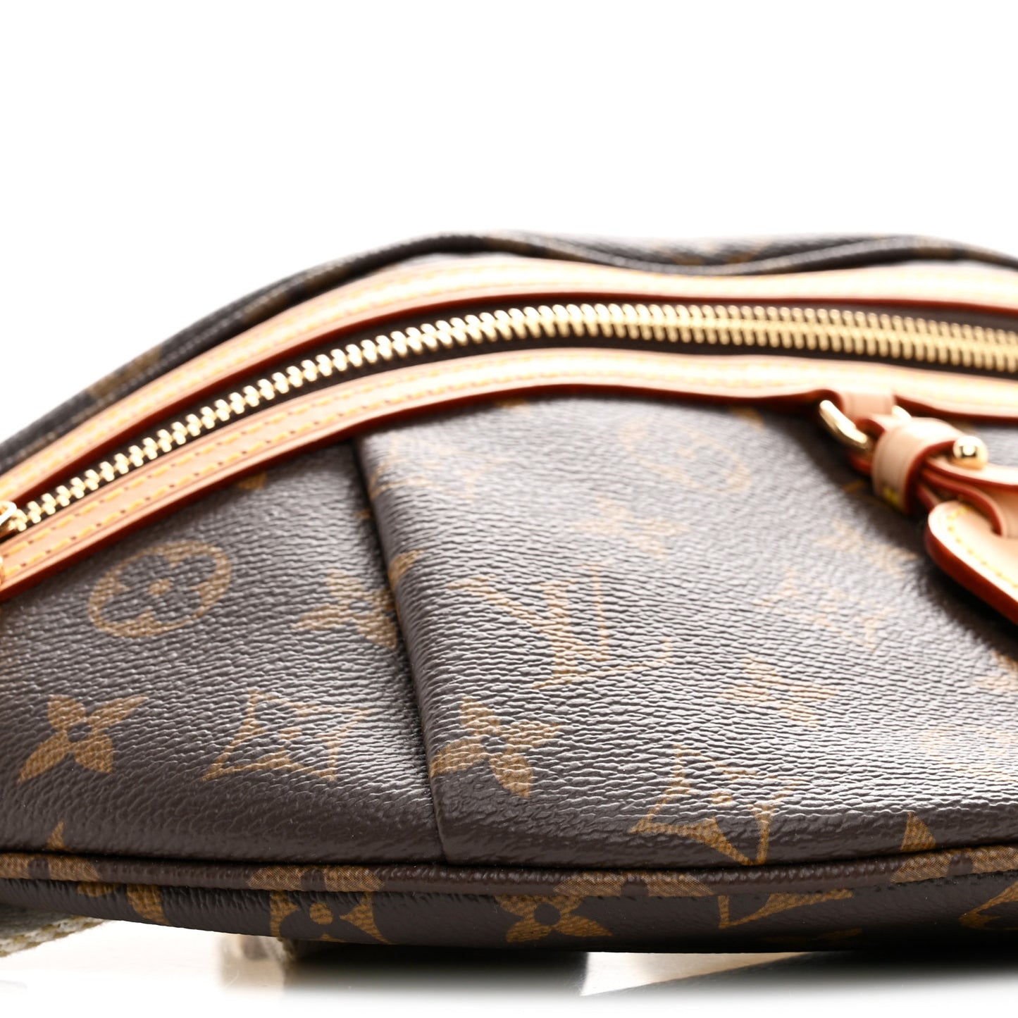 Monogram High Rise Bumbag