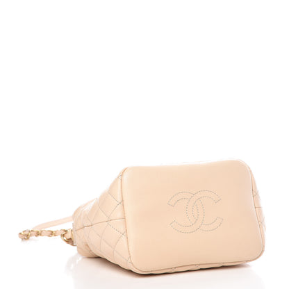 Chanel Lambskin Quilted Hobo Beige 5 of 12