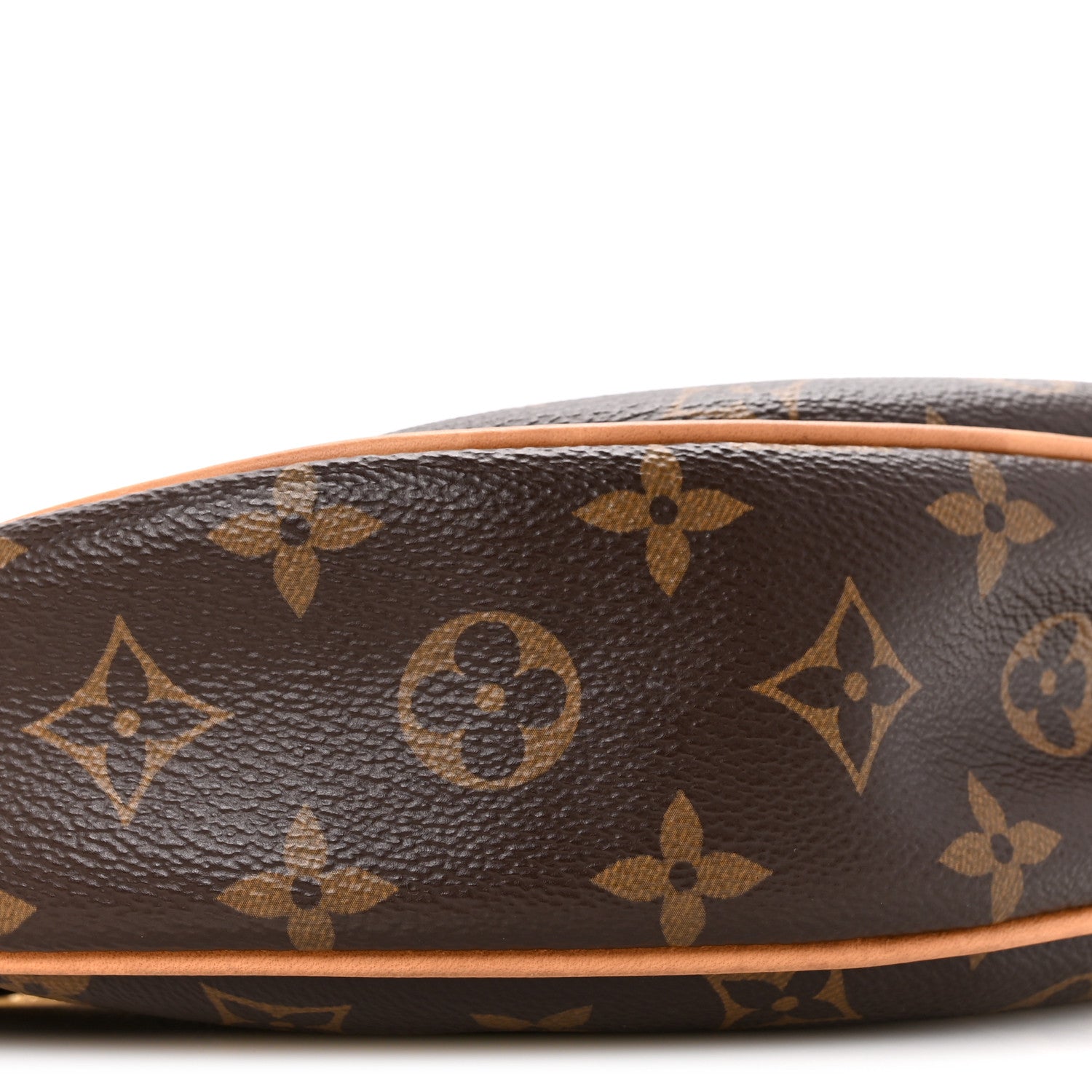 Louis Vuitton Monogram Loop 8 of 15