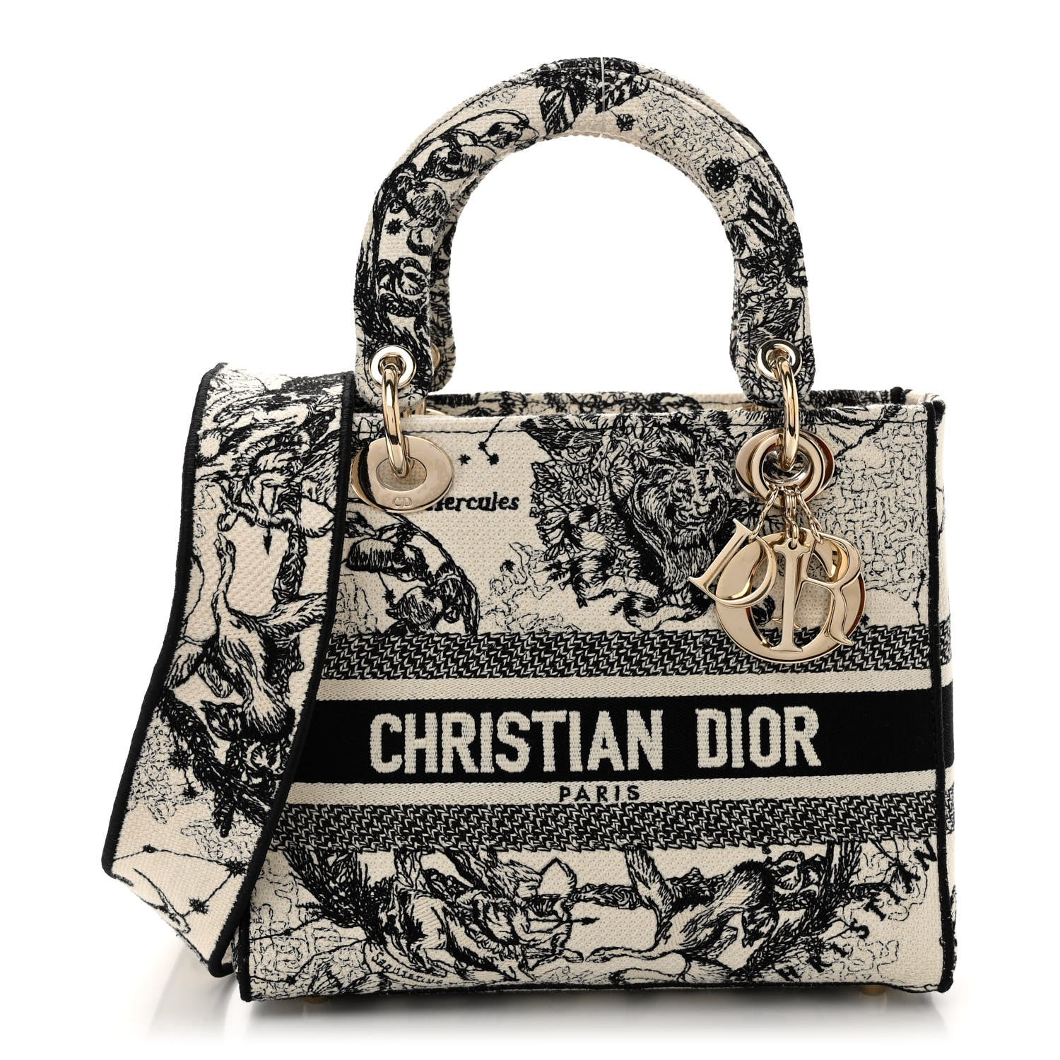 Christian Dior Canvas Embroidered Zodiac Toile De Jouy Medium Lady D-Lite Latte 1 of 9
