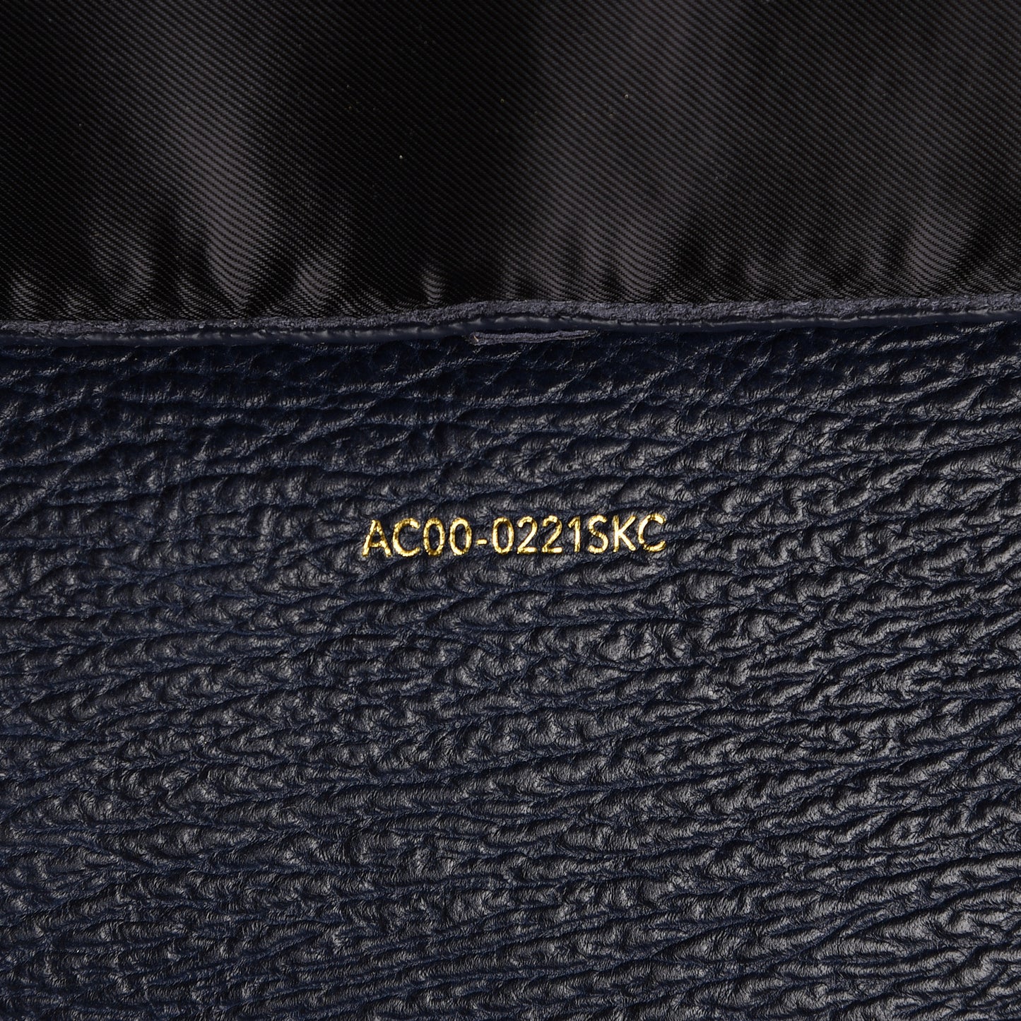 3.1 Textured Calfskin Large Pashli Satchel Ink
