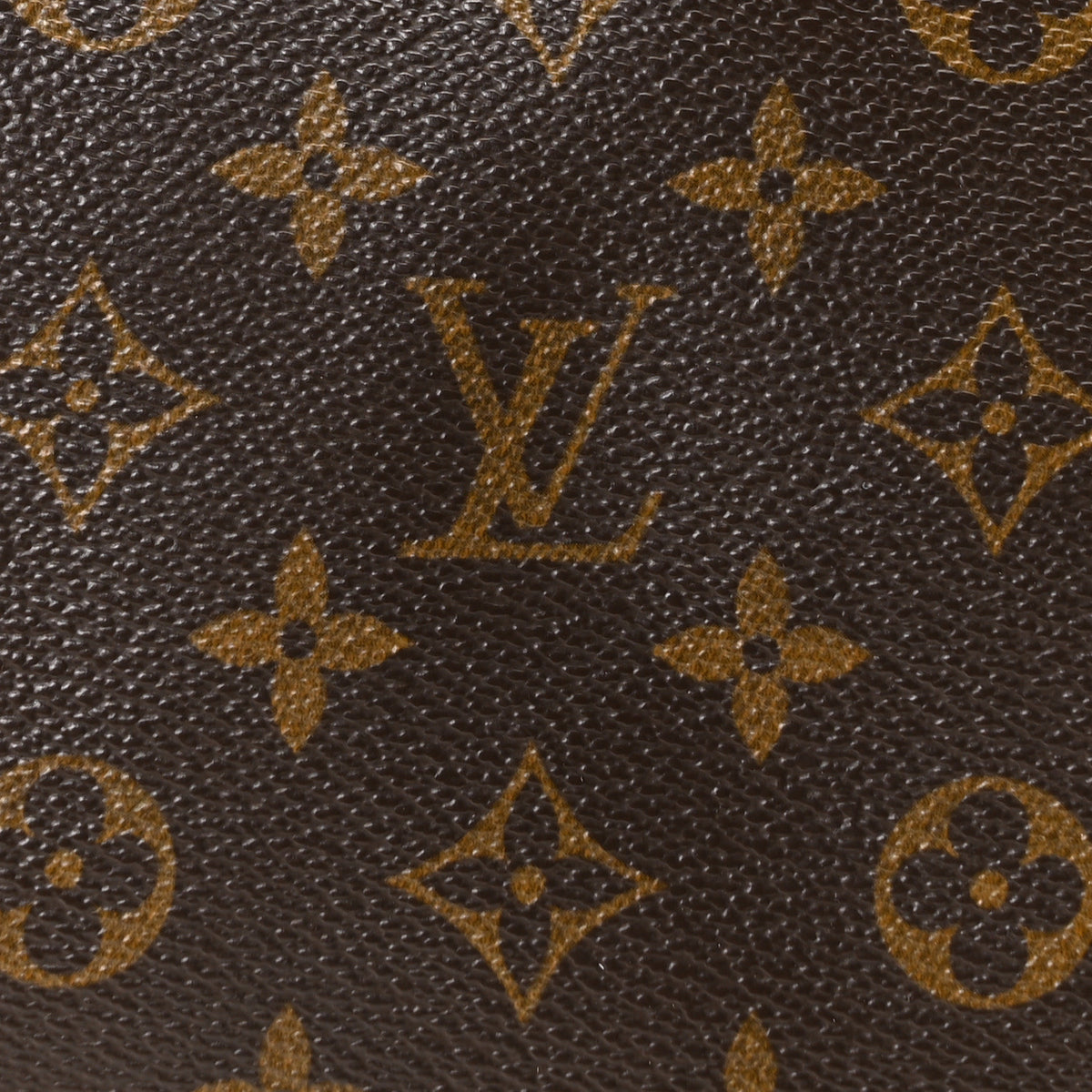 Monogram Looping MM