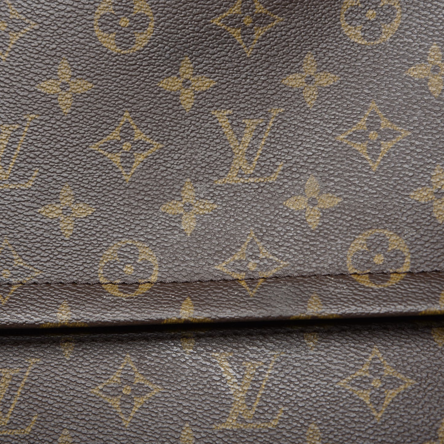 Monogram Pegase 55 Business