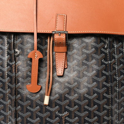 Goyard Goyardine Calfskin Alpin MM Backpack Gold Black 9 of 15