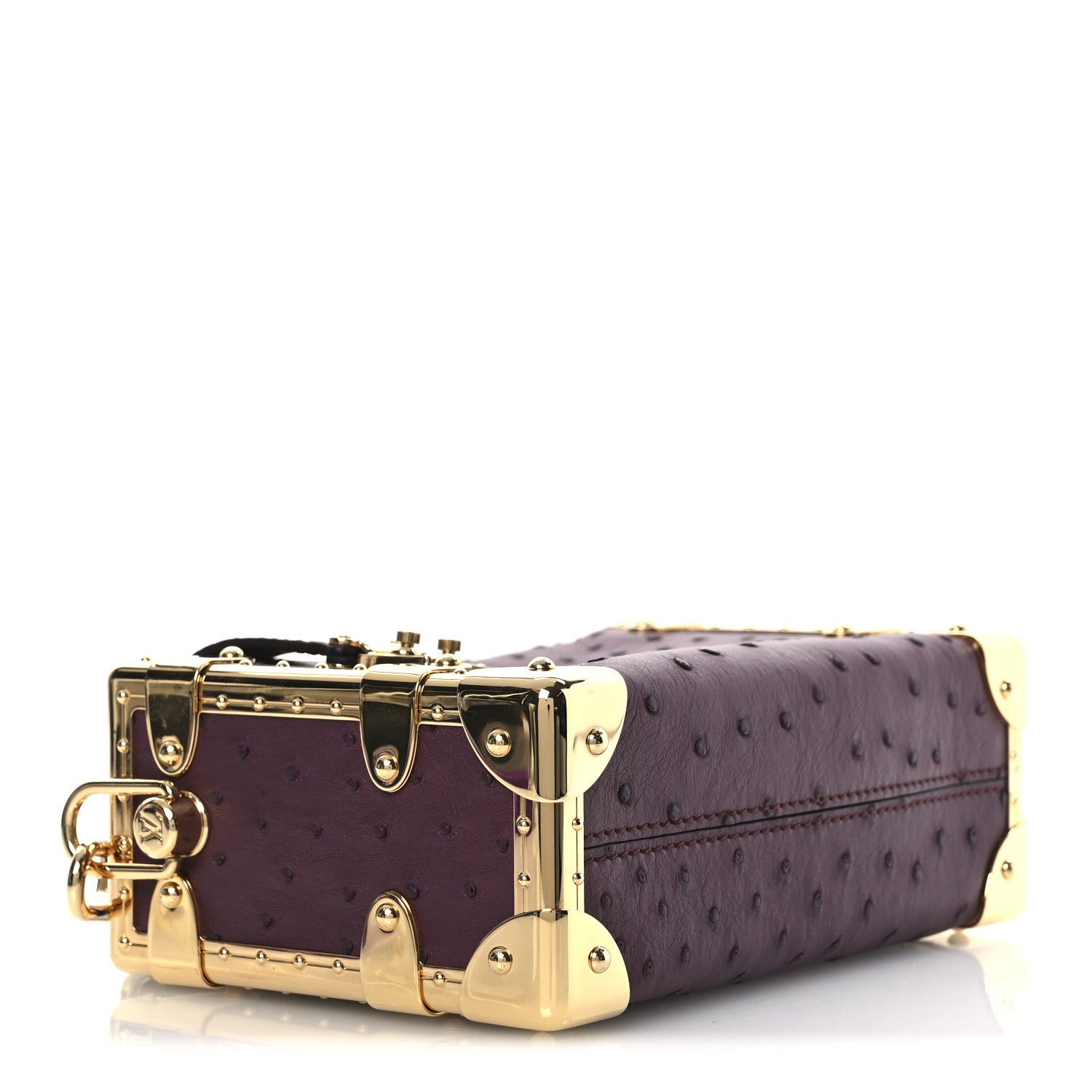 Louis Vuitton Ostrich Side Trunk PM Bordeaux 4 of 9