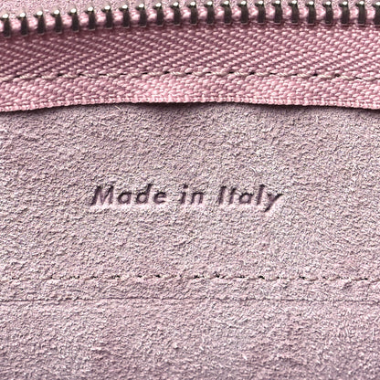 Celine Grained Calfskin Nano Belt Bag Antique Rose Antique Rose 6 of 12