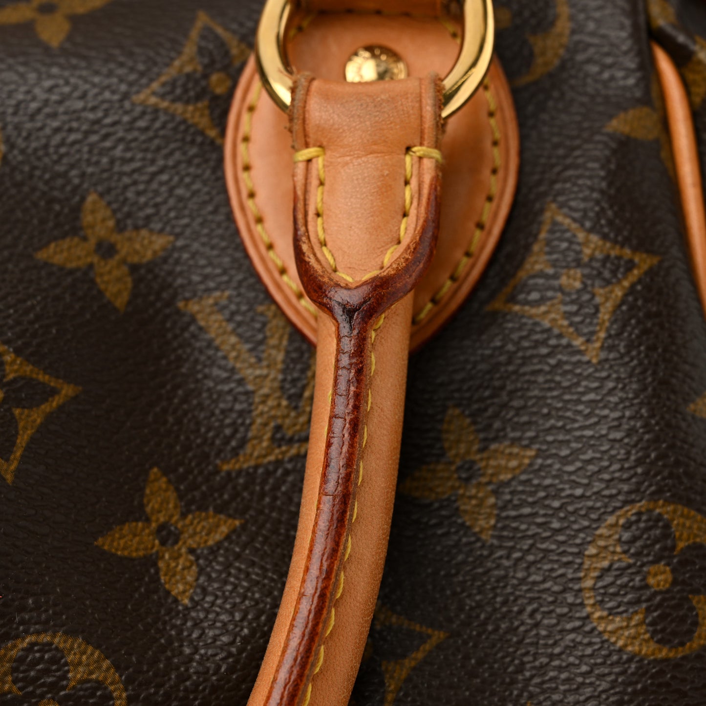 Monogram Tivoli PM