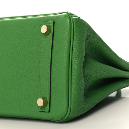 Hermes Togo Birkin 25 Vert Yucca 10 of 11