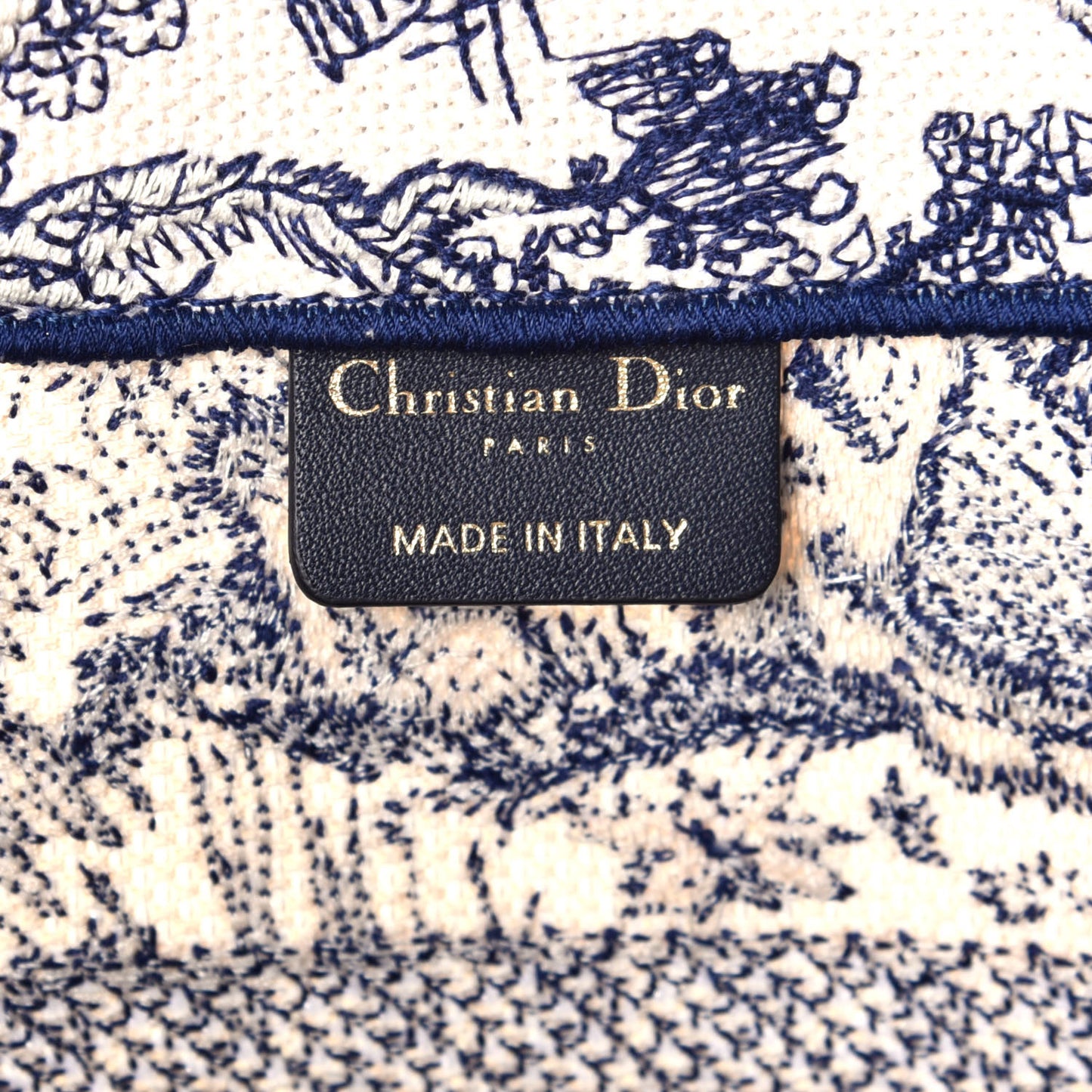 Canvas Embroidered Medium Dioriviera Toile De Jouy Book Tote Blue