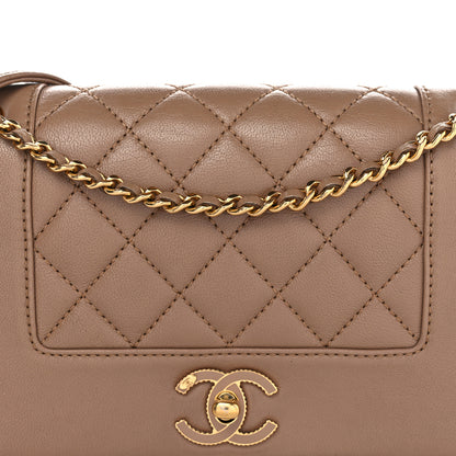Chanel Sheepskin Quilted Small Vintage Mademoiselle Flap Beige 8 of 10