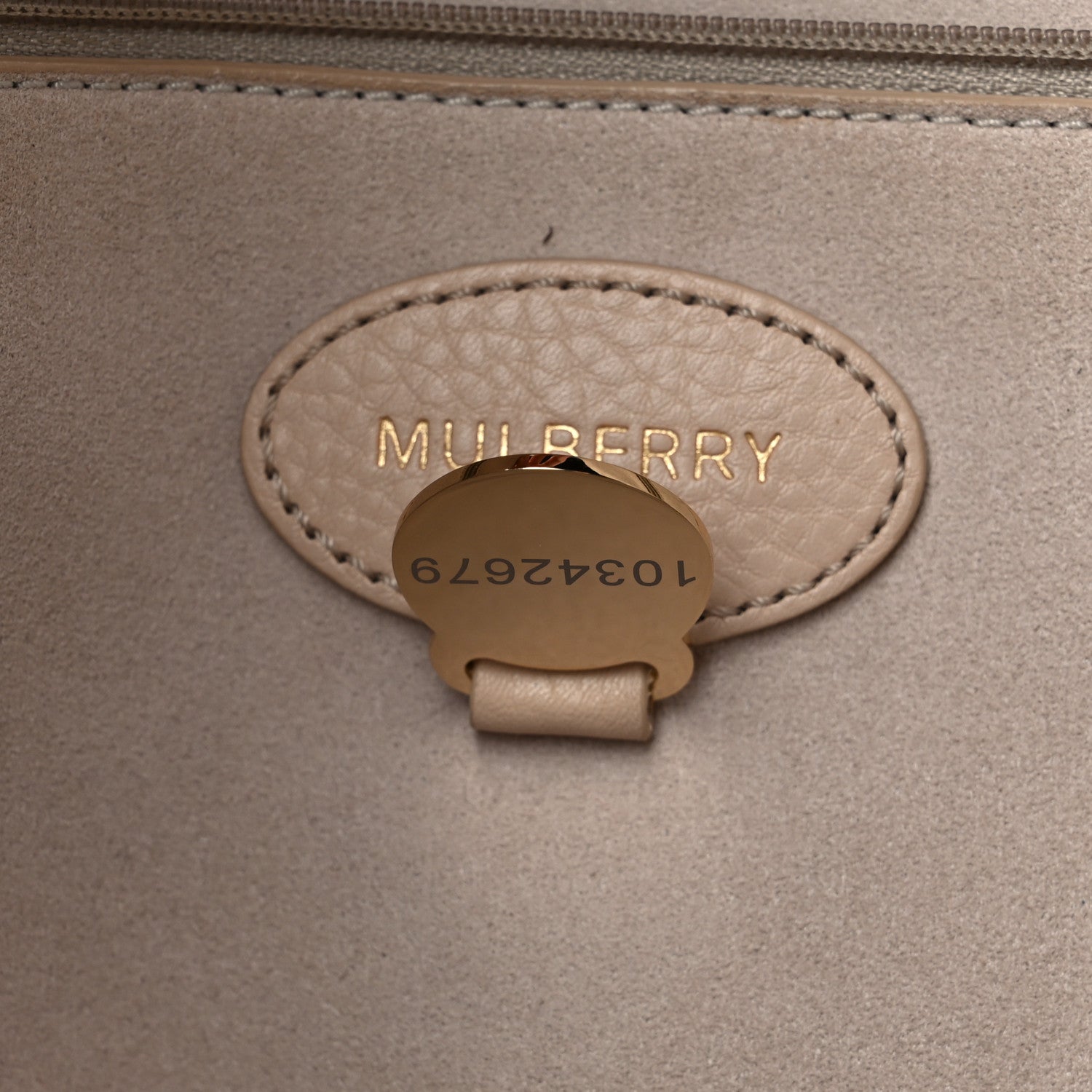 Mulberry Soft Small Grain Calfskin Tessie Tote 7 of 17