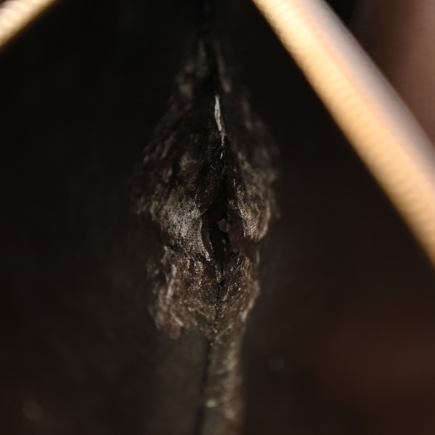 Damier Ebene Sarah Wallet