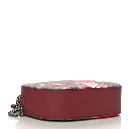 Gucci GG Supreme Monogram Blooms Mini Chain Shoulder Bag Beige Multicolor Dry Rose 4 of 13