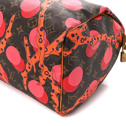 Louis Vuitton Monogram Ramages Speedy 30 Grenade 12 of 16