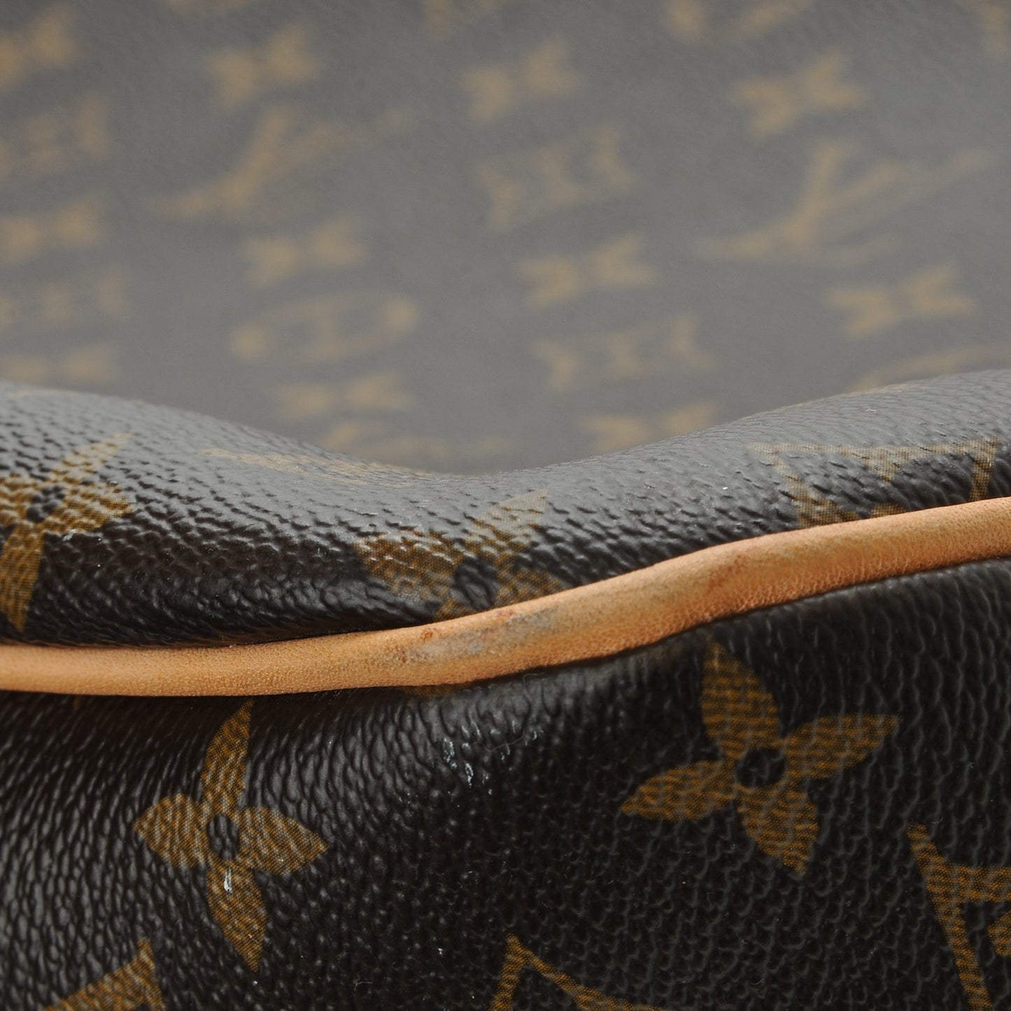 Monogram Delightful MM