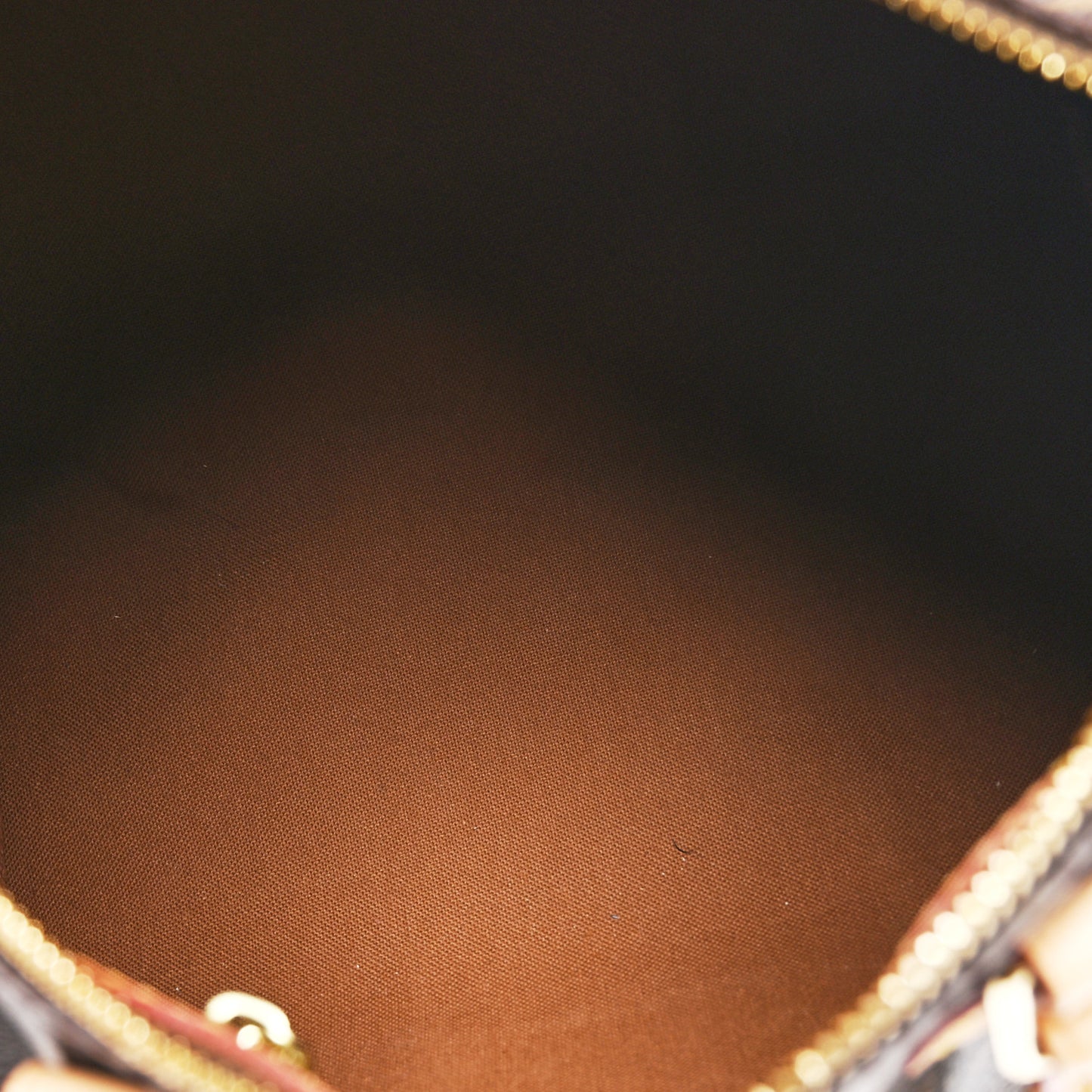 Monogram Speedy Bandouliere 25
