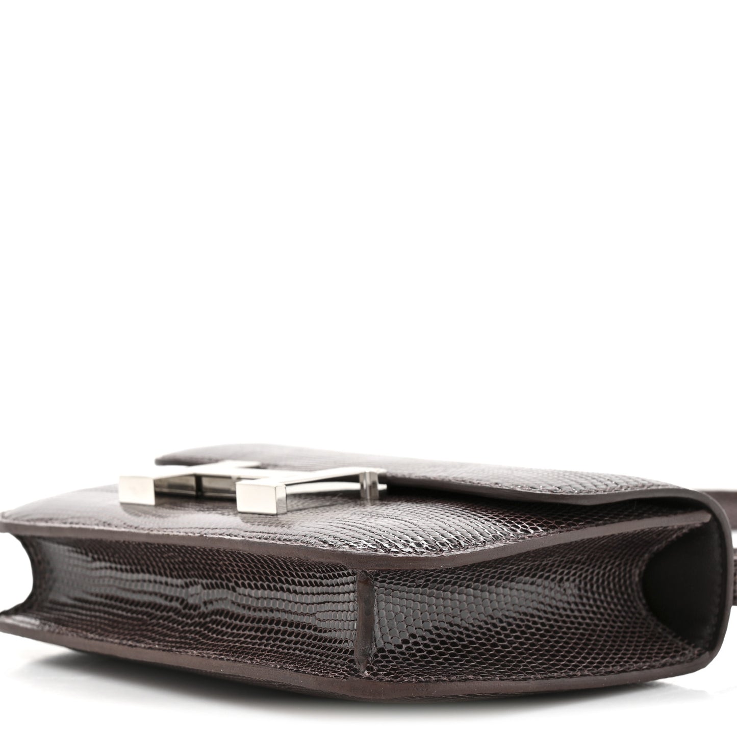 Lizard Niloticus Micro Constance 14 Nicotine