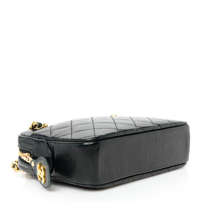 Chanel Lambskin Quilted Camera Case Black 4 of 11
