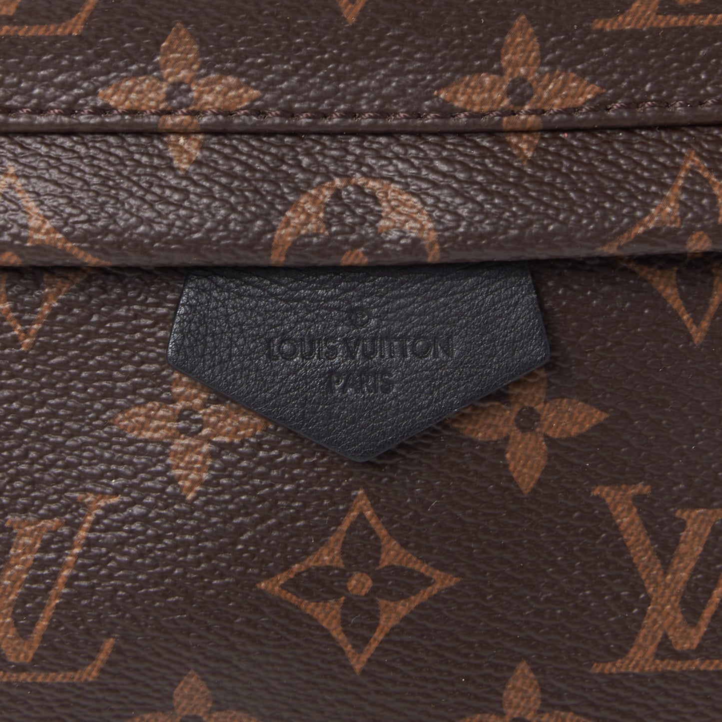 Monogram Palm Springs Backpack PM