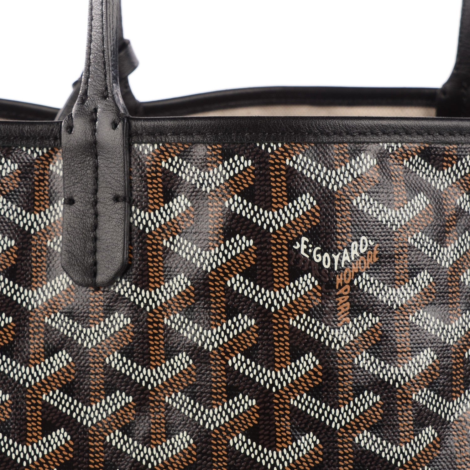 Goyard Goyardine Saint Louis PM Black 2 of 10