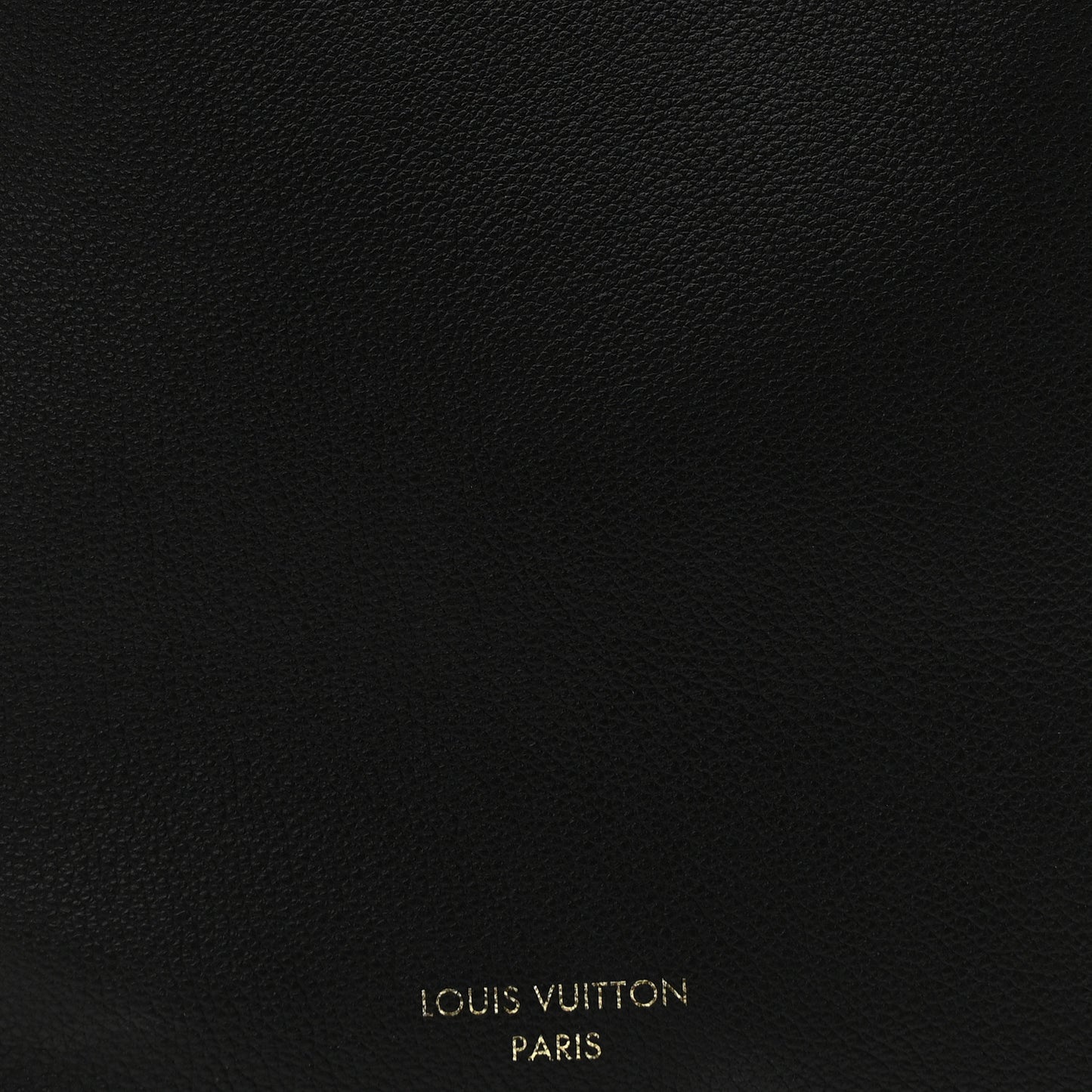 Grained Calfskin Low Key Hobo PM Black