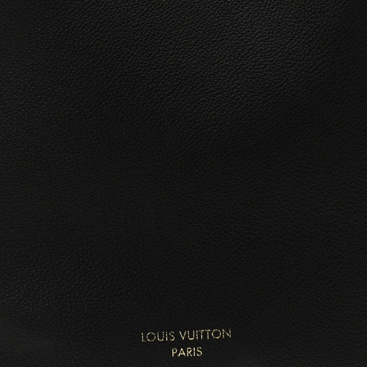 Louis Vuitton Grained Calfskin Low Key Hobo PM Black 7 of 9