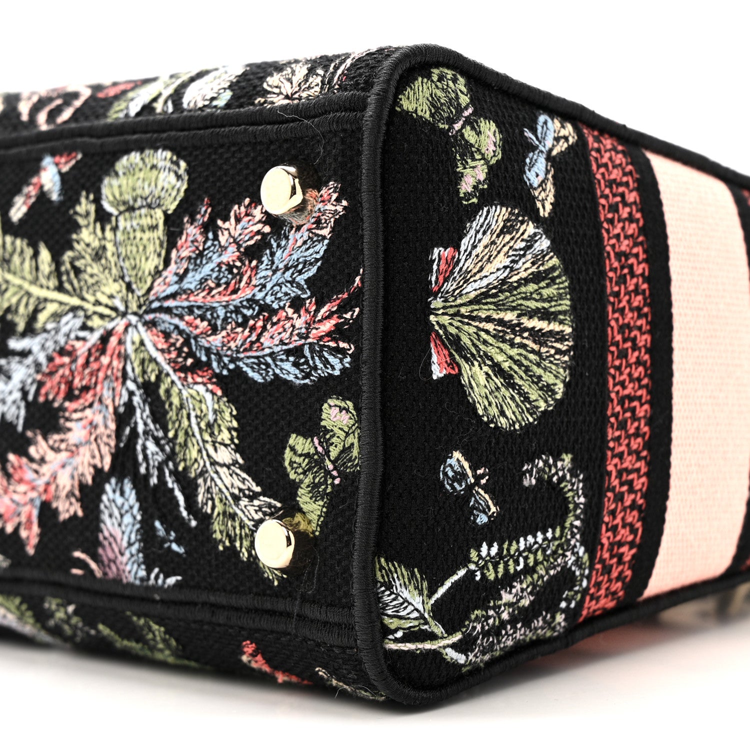 Christian Dior Canvas Cabinet De Curiosites Embroidered Medium