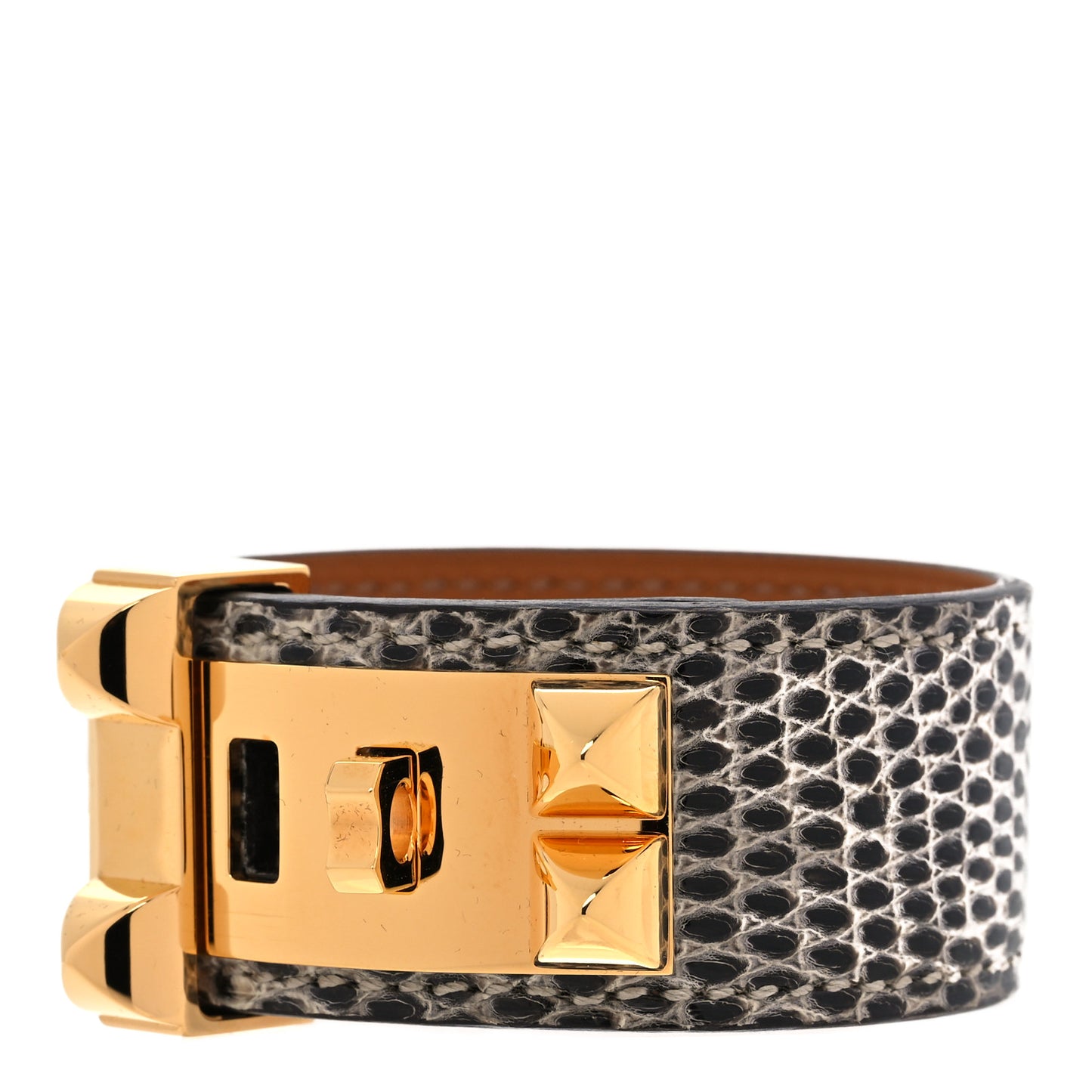 Lizard Collier De Chien CDC 24 Bracelet T2 Ombre