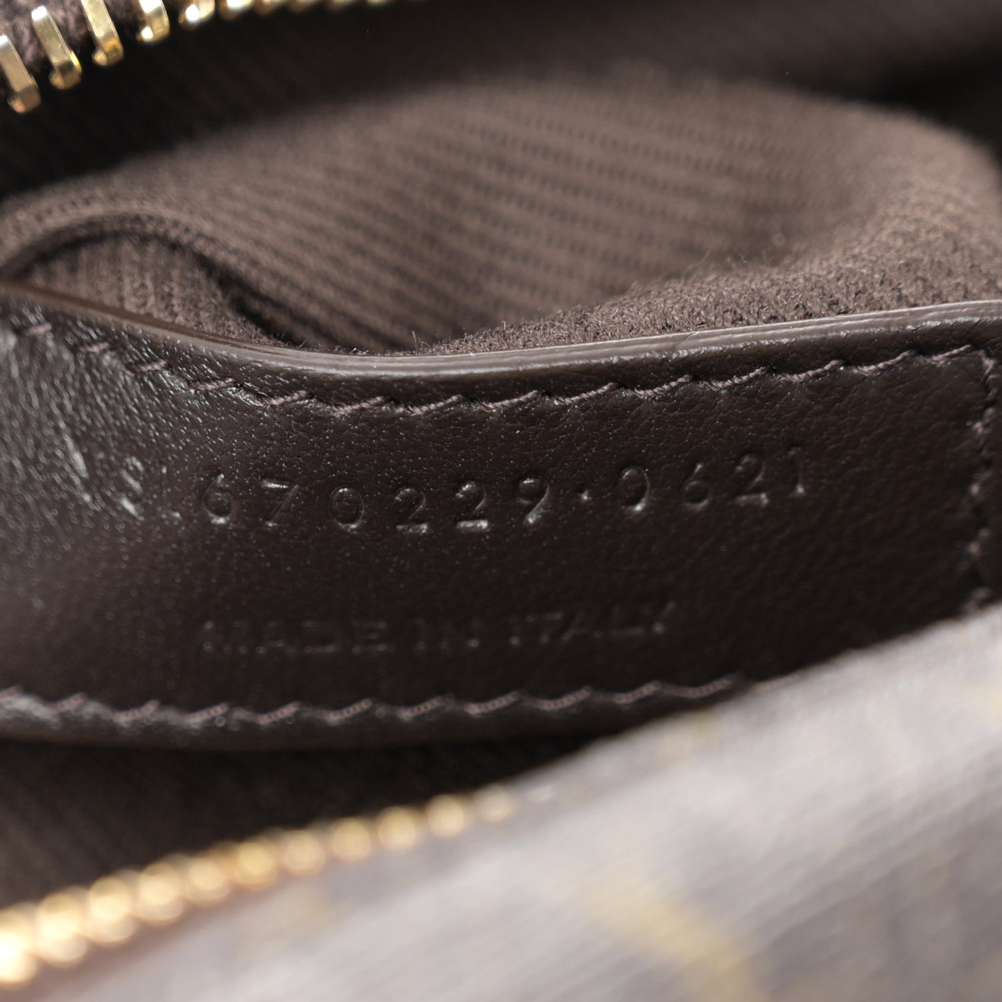 Canvas Smooth Calfskin Le Monogramme Camera Bag Chestnut