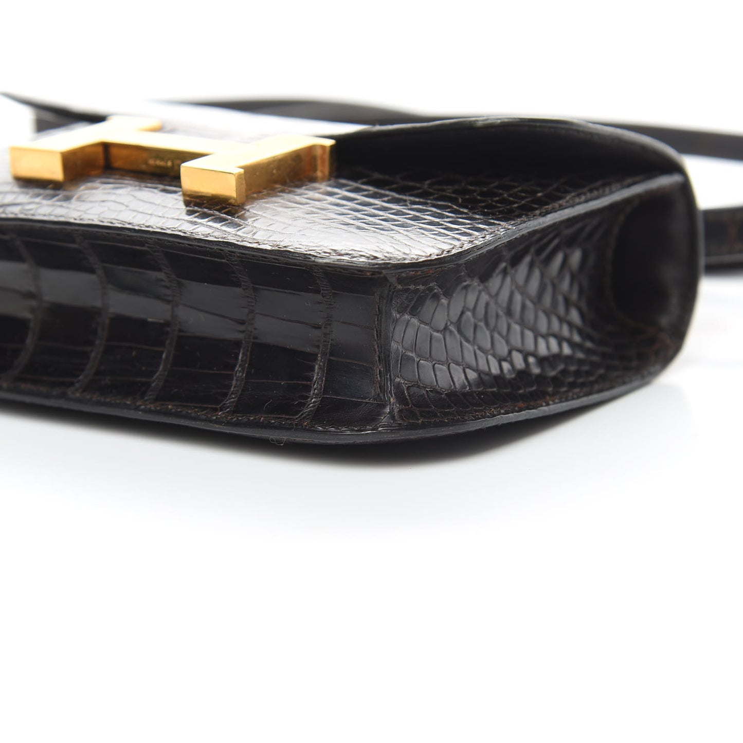 Shiny Alligator Micro Constance 14 Ebene