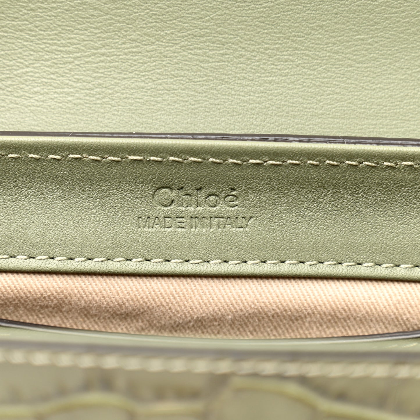 Calfskin Crocodile Embossed Mini C Double Carry Misty Forest