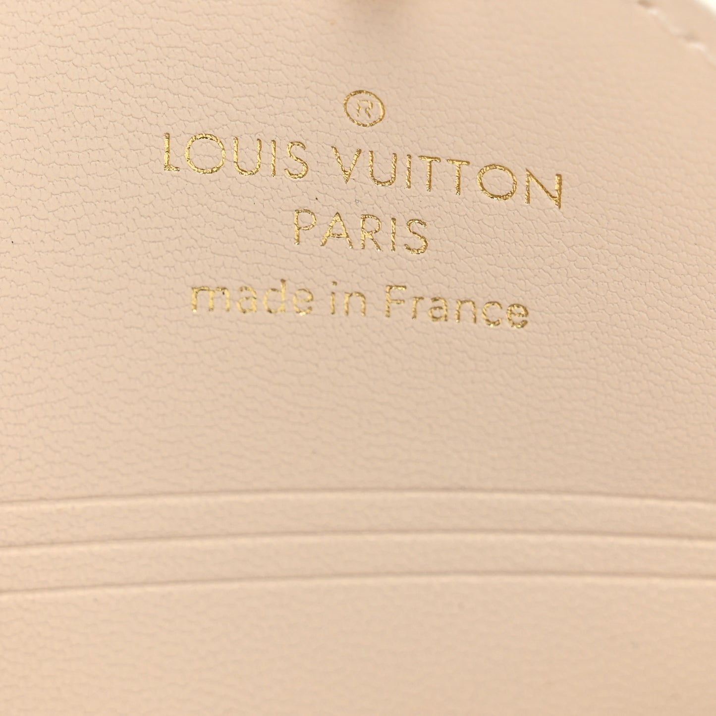 Monogram By The Pool Small Kirigami Pochette Insert Brume