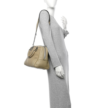 Loewe Calfskin Amazona Medium Sand 2 of 9