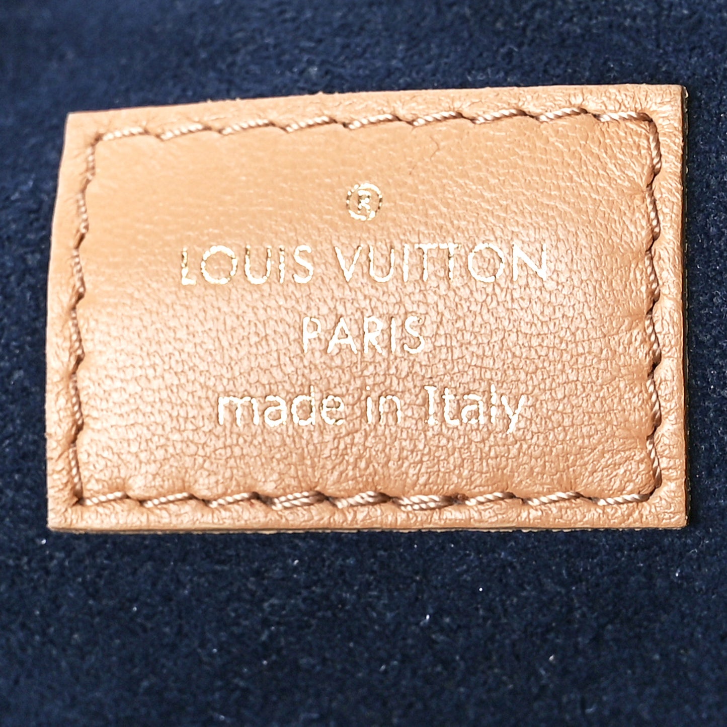 Lambskin Embossed Monogram Coussin PM Camel