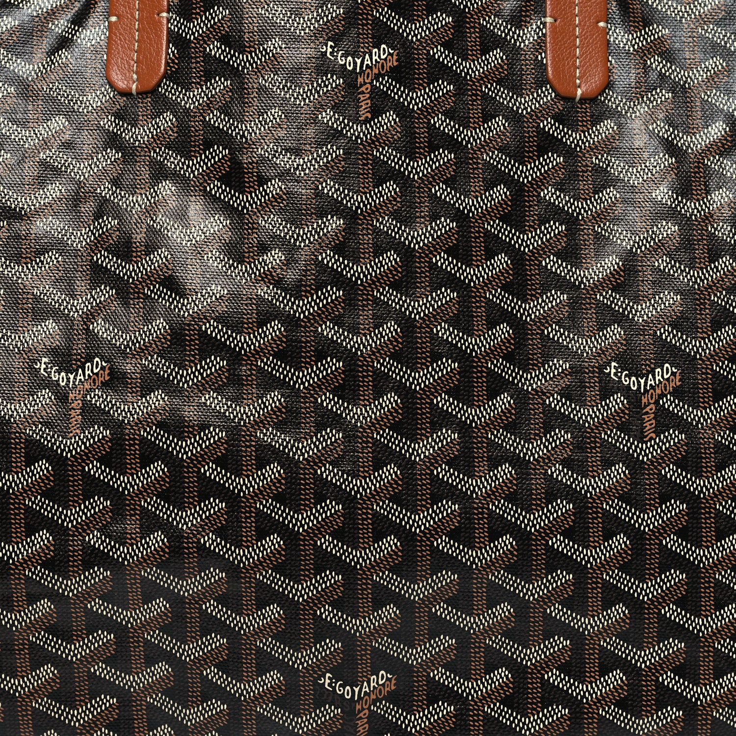 Goyard Goyardine Saint Louis PM Black Gold 9 of 11
