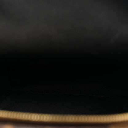 Louis Vuitton Monogram Palm Springs Backpack Mini 5 of 10
