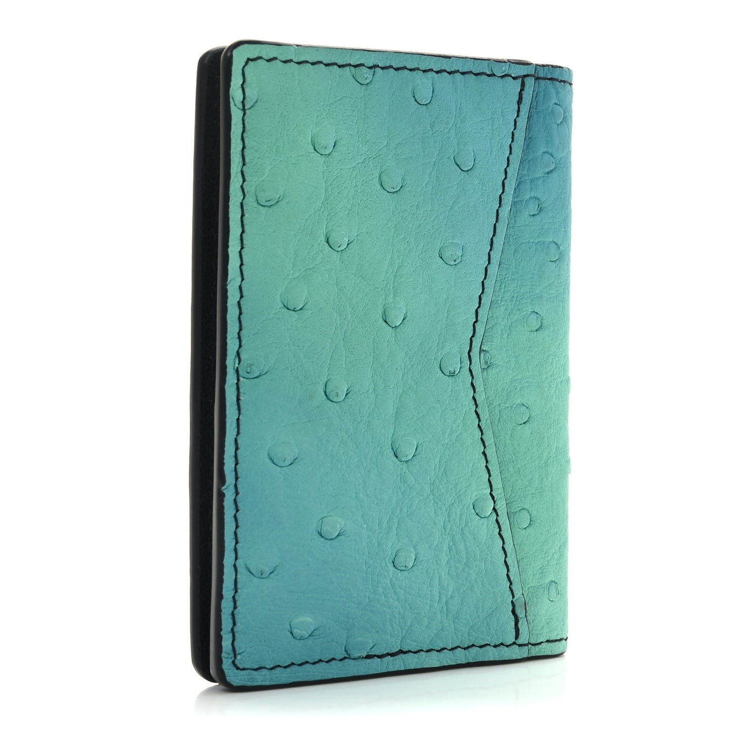 Ostrich Pocket Organizer Tropical Blue