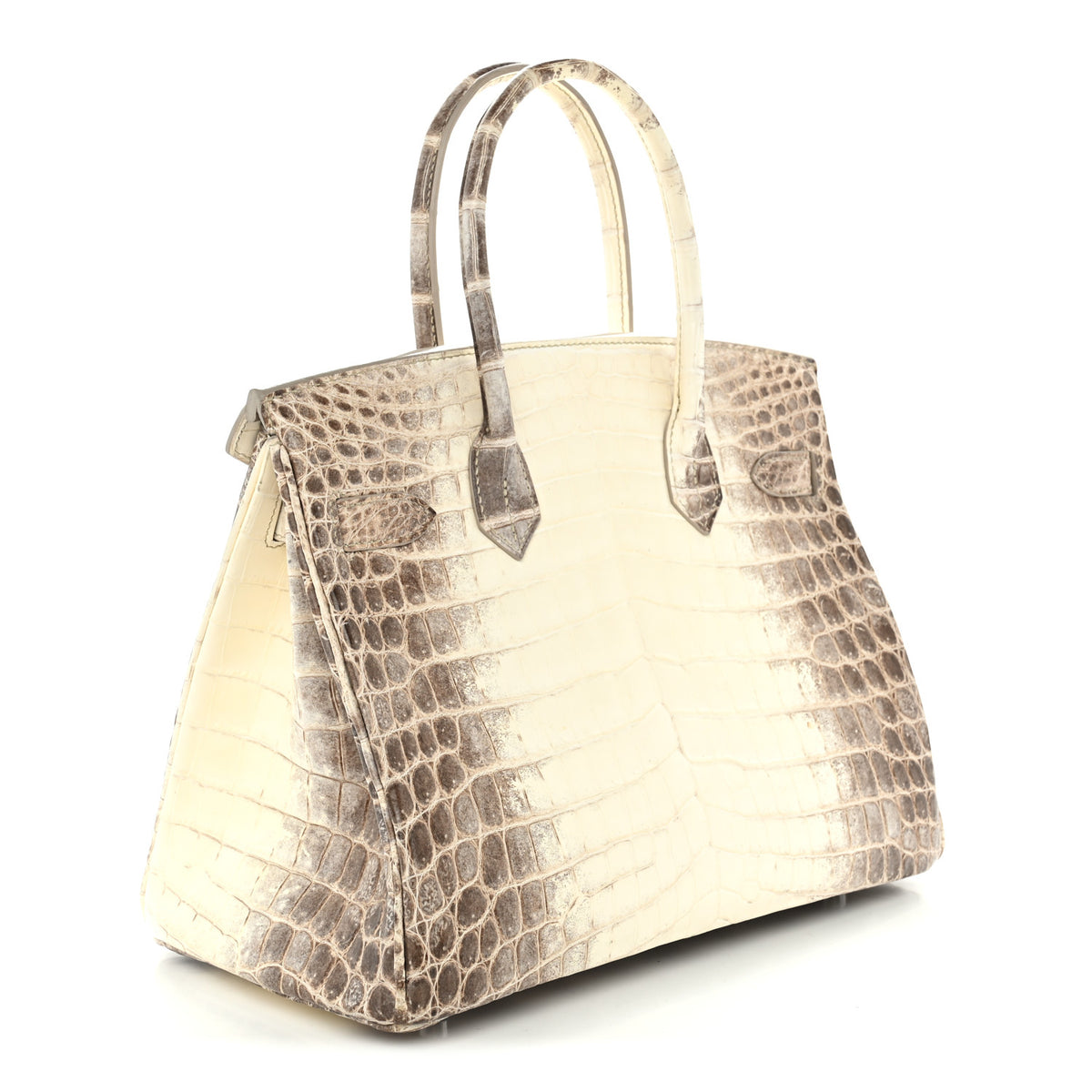 Matte Niloticus Crocodile Himalaya Birkin 30 Blanc