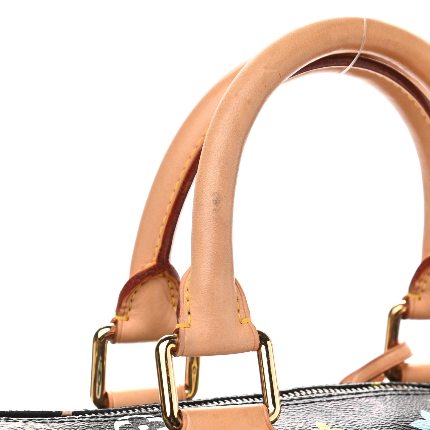 Monogram Multicolor Speedy 30 Black