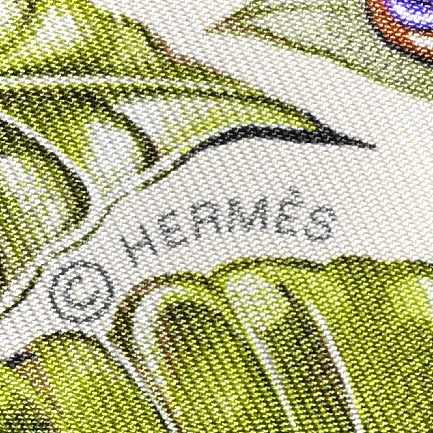 Hermes Silk Equateur Twilly Creme Vert Multicolore 4 of 4