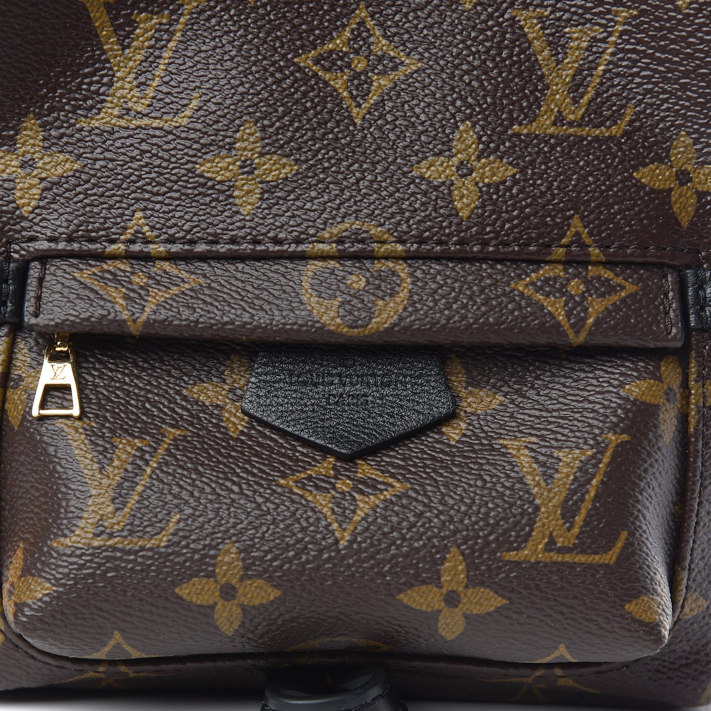 Monogram Palm Springs Backpack Mini