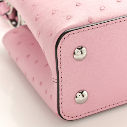 Louis Vuitton Ostrich Capucines Mini Pink 8 of 9