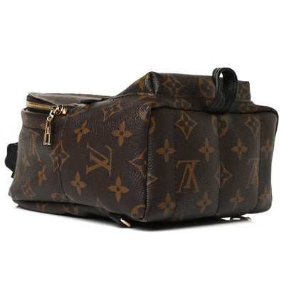 Louis Vuitton Monogram Palm Springs Backpack Mini 9 of 14