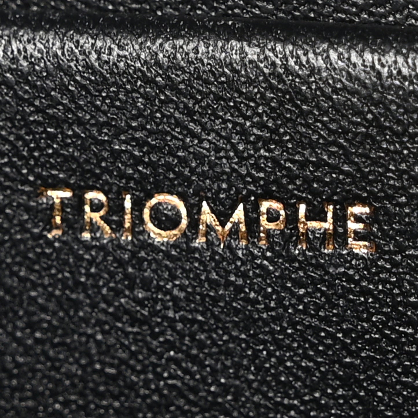 Shiny Calfskin Medium Triomphe Black