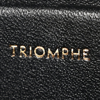 Celine Shiny Calfskin Medium Triomphe Black 7 of 10