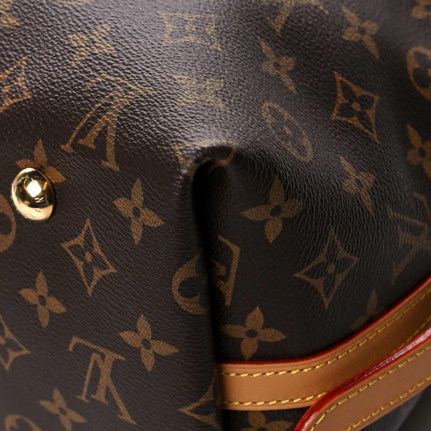 Monogram CarryAll MM