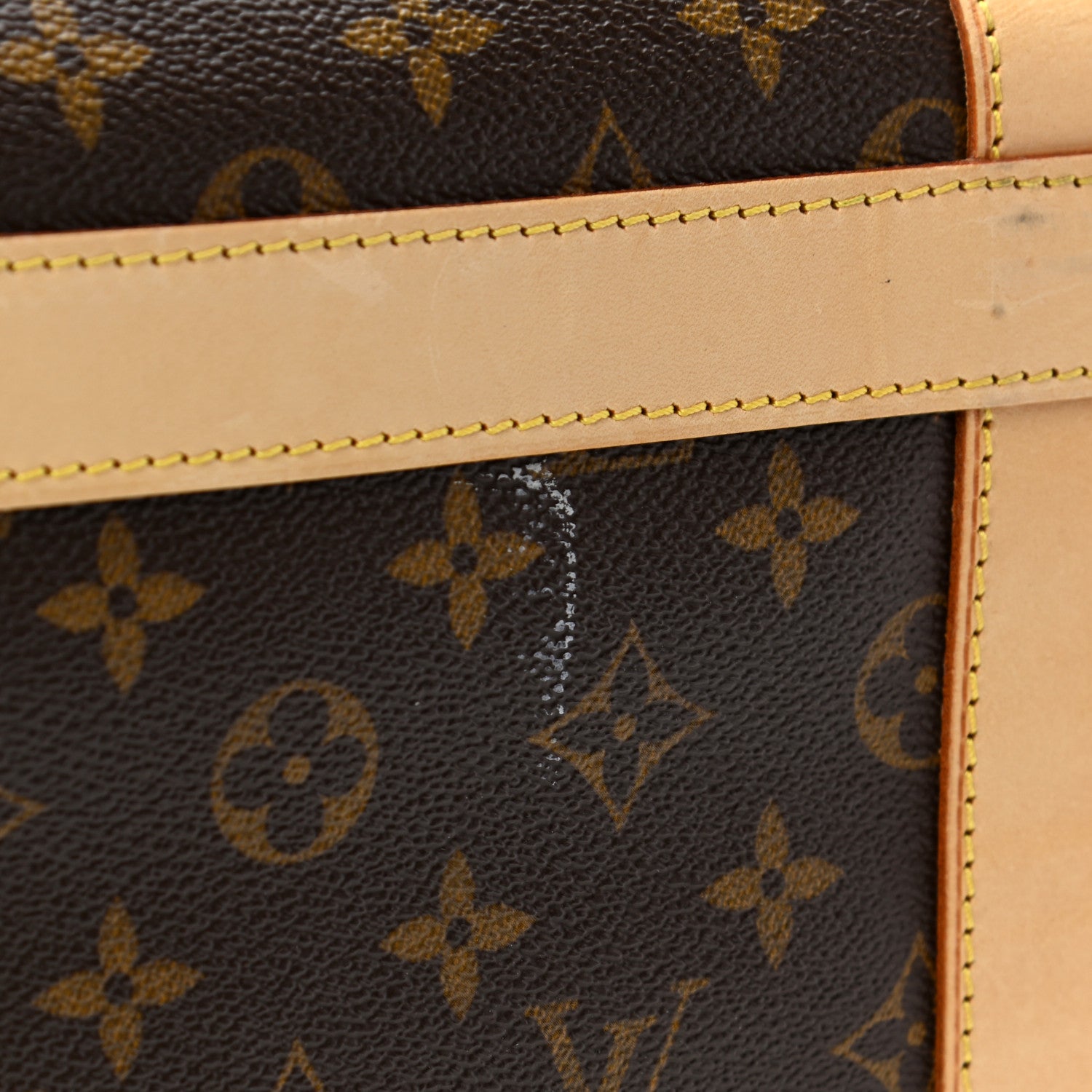 Louis Vuitton Monogram Sac Chien 50 Pet Carrier 11 of 12