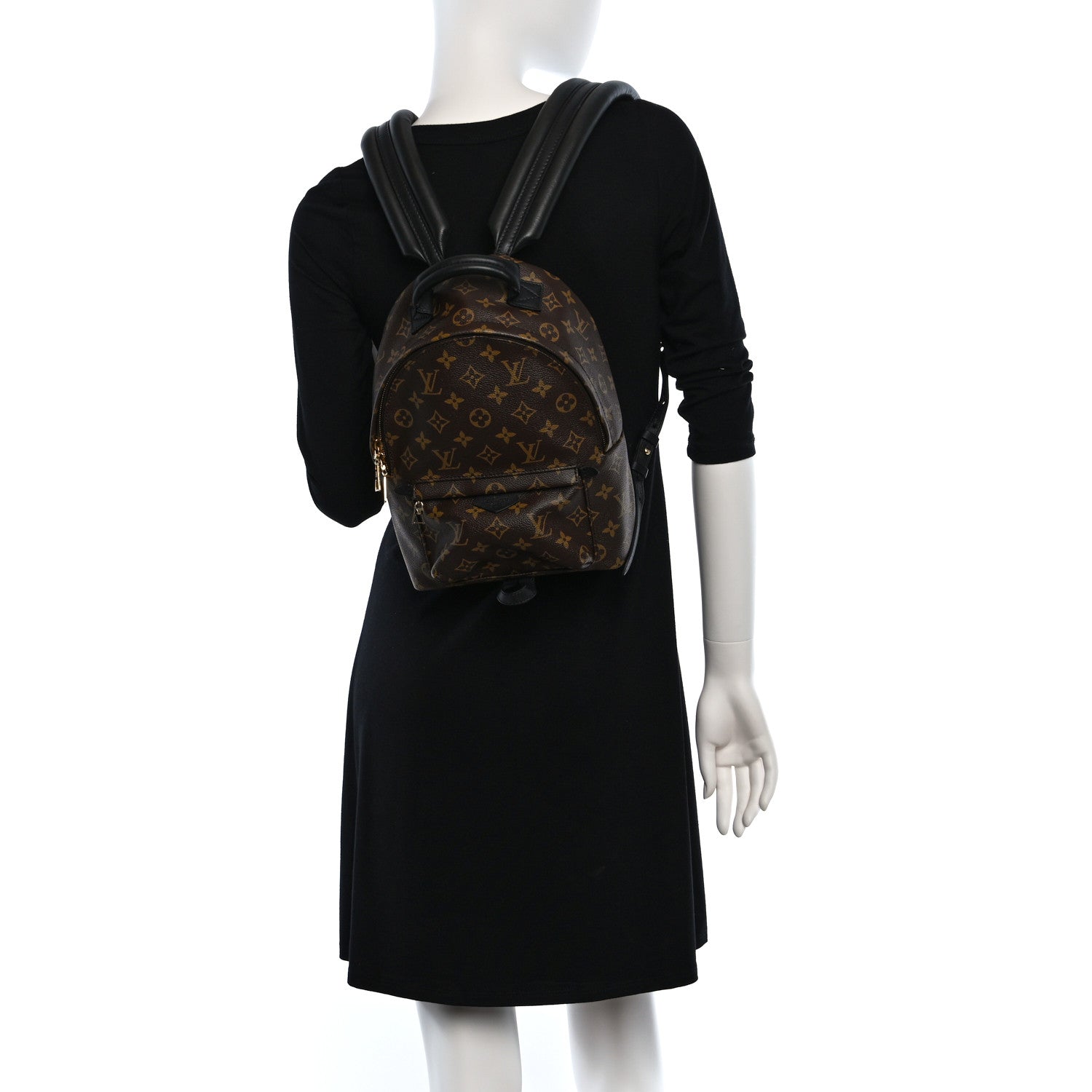 Louis Vuitton Monogram Palm Springs Backpack PM 2 of 9
