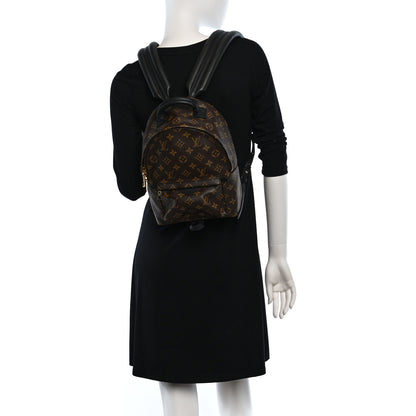 Louis Vuitton Monogram Palm Springs Backpack PM 2 of 9